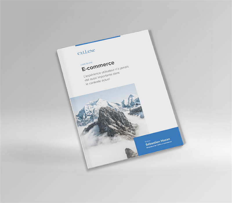 E-commerce : l’expérience utilisateur n’a jamais été aussi importante dans le contexte actuel