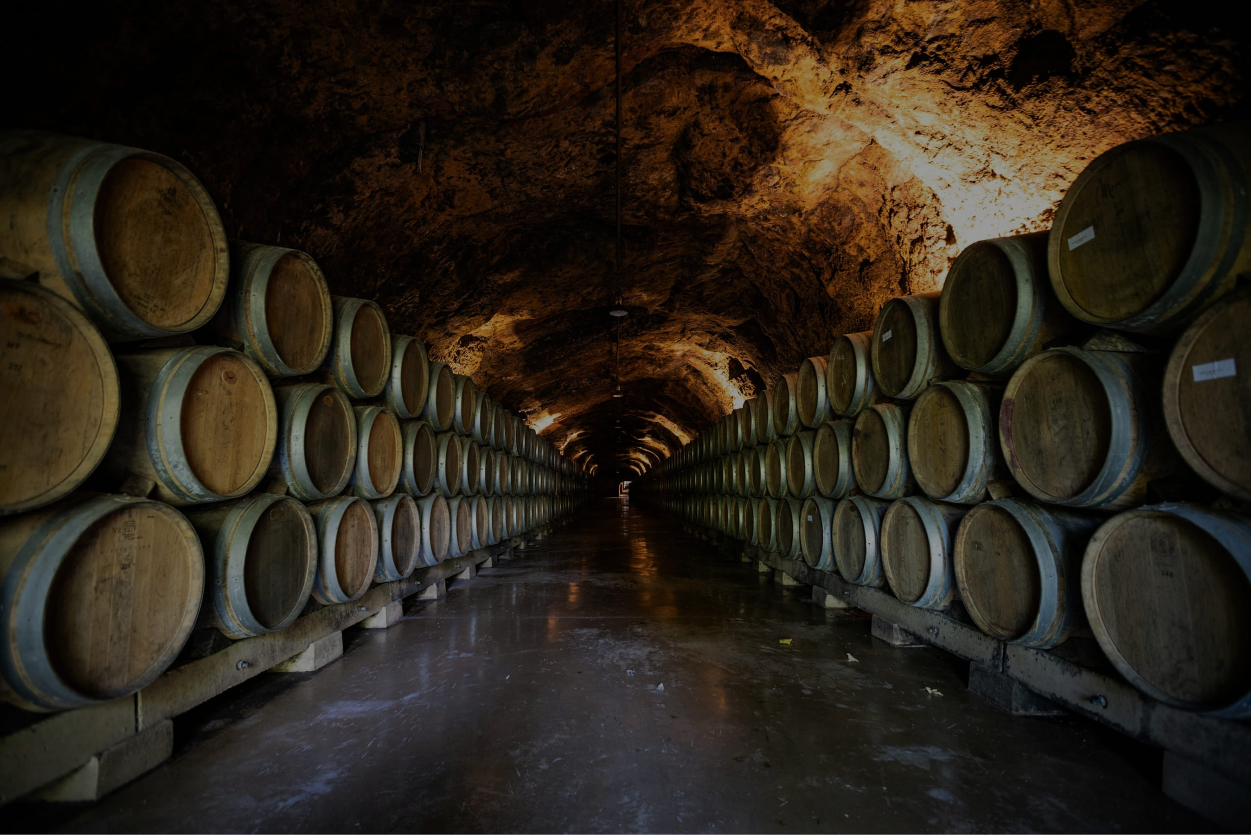 Ensemble de tonneaux de champagne de la maison Louis Roederer