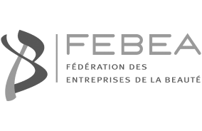 logo Febea