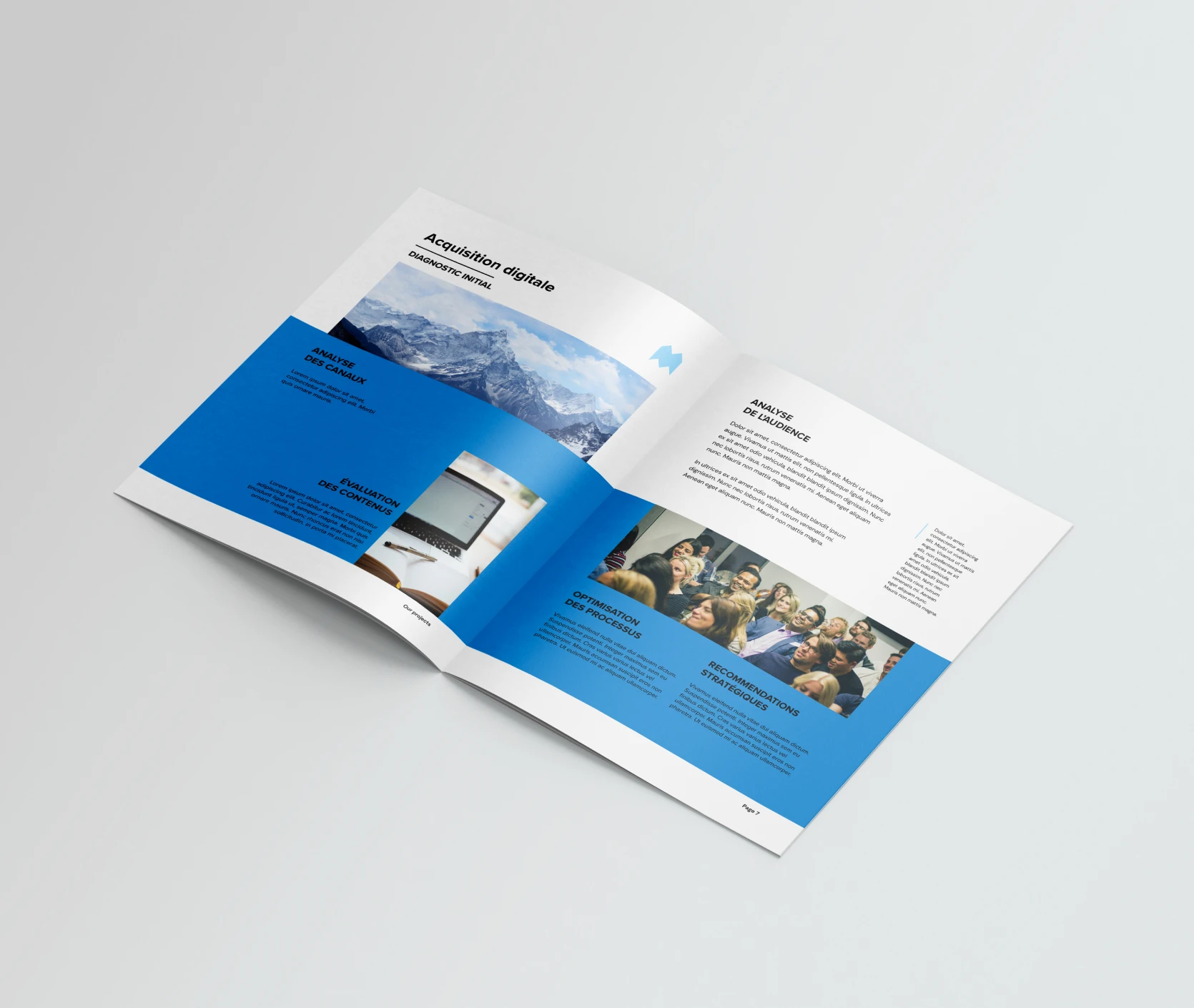 Document d'audit de base de données Cyllene