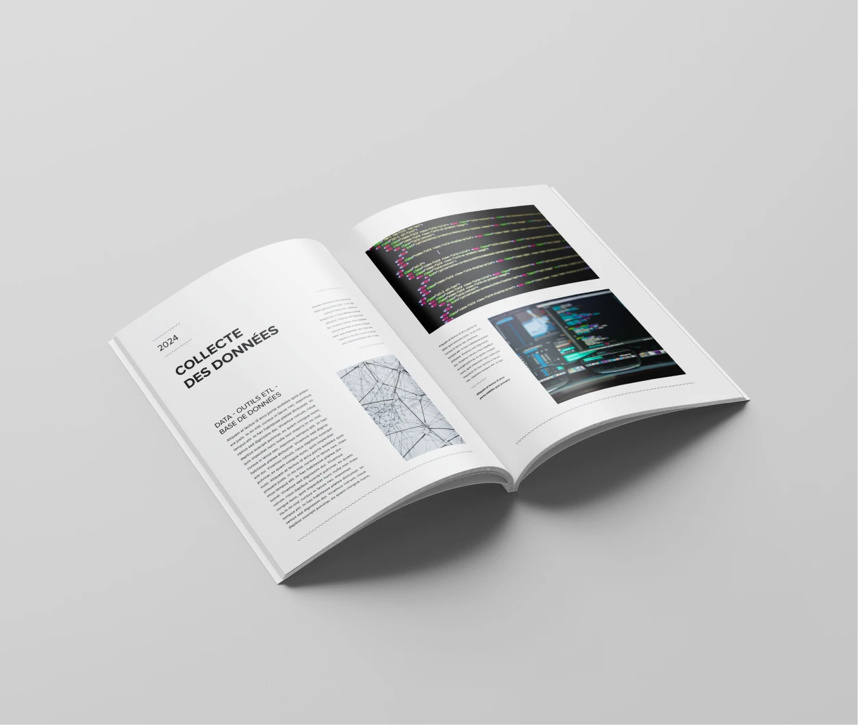 Document afin d'appréhender le business avec Cyllene