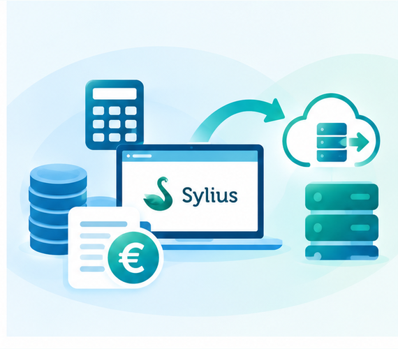 Combien coûte une migration e-commerce ?